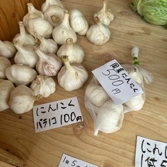 野菜の画像
