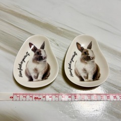 🐰ウサギの可愛い小皿🐰 2枚セット