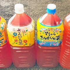 【在庫1本のみ】超濃厚PSB 光合成細菌 活バクテリア2L〜　熱...