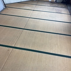 畳です。タタミ。必要な方あげます。