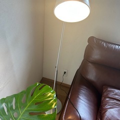 ランプ　証明の画像