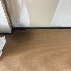 畳です。タタミ。必要な方あげます。の画像