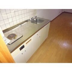 🔶＼ペット複数OK‼＊ネット無料付き‼／敷金礼金0円で入居可能！家賃3万円台の広々1K☆生保高齢者可◎ − 北海道