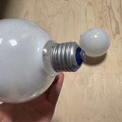 電球の画像