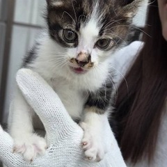 元気いっぱいあかちゃん