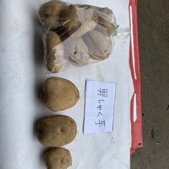 じゃがいも　　