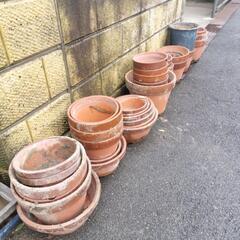 植木鉢の画像