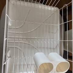 食器洗いの画像