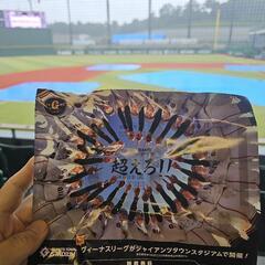 6/15(日)ジャイアンツタウンスタジアム　ヴィーナスリー…