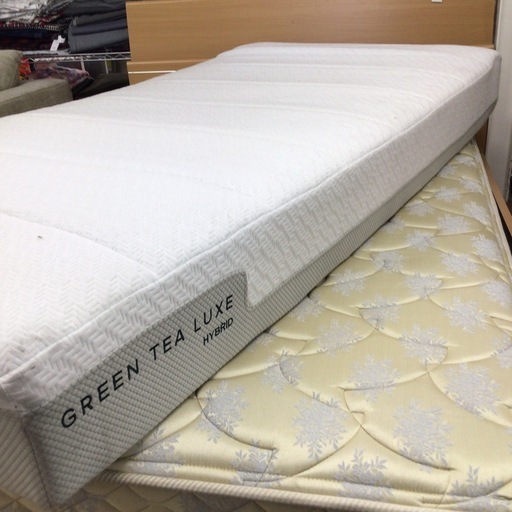 ベッドマットレス シングル ZINUS 97x195x20cm コイルスプリング GreenTea Luxe
