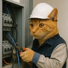 【全国】出張可能な電工ニ種、電工経験者求む‼️