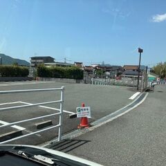 6月22日犬猫譲渡会 - その他