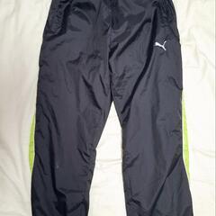 Puma ジャージ上下　ライトグリーン×黒　レディースSの画像