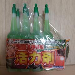 カトレア　１鉢　液肥35ml×2本付きの画像