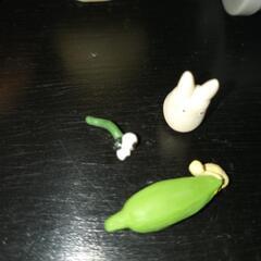 トトロ　の画像