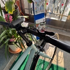 2台限り！！ブリヂストン 限定モデル エルビーワンデラックス グレイッシュミント　LBC764の画像
