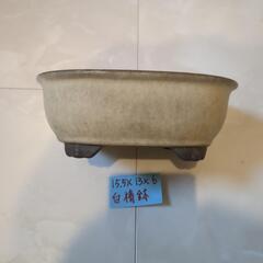 盆栽鉢　5号鉢　白の画像