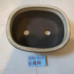 盆栽鉢　5号鉢　白