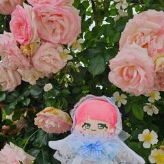 アフタヌーンティーで、一緒にぬい撮りしませんか？