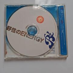 B'z/野性のENERGY　シングルの画像