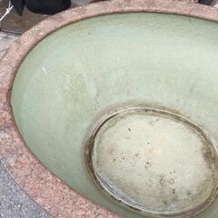 大型睡蓮鉢　メダカ鉢　水槽の画像