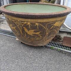 大型睡蓮鉢　メダカ鉢　水槽の画像