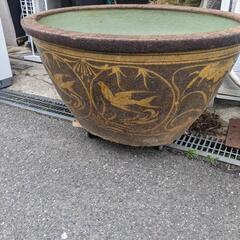 大型睡蓮鉢　メダカ鉢　水槽