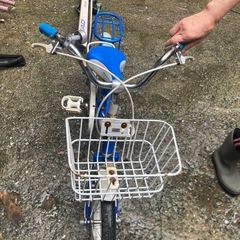 子供用１６インチの画像