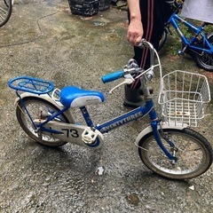 子供用１６インチの画像