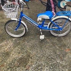 子供用１６インチの画像