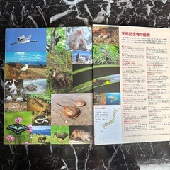 こども大百科　　古本の画像