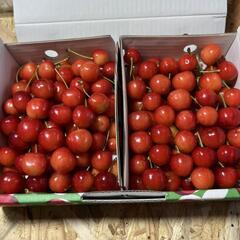 佐藤錦　訳あり　送料込み　③