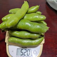 そら豆約１kg
