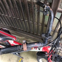 American EAGLE CODY20 20インチ　子供用自転車
の画像