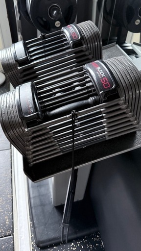 パワーブロック powerblock 50lb