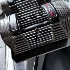 パワーブロック powerblock 50lbの画像