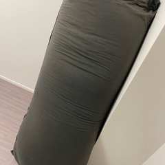 ヨギボウ
