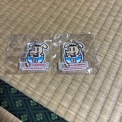 数原龍友　アクリルキーホルダー