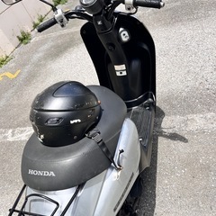 today af67 自賠責あり ヘルメット差し上げます。の画像