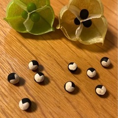 フウセンカズラの種　30粒の画像