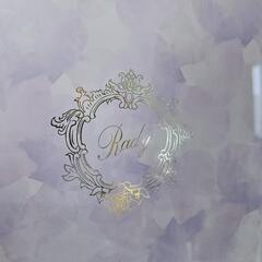 Radyバスチェアの画像