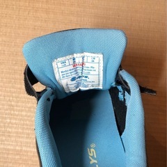 ヒーリーズ(ローラーシューズ)の画像
