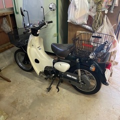 リトルカブ50cc