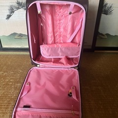 PRIVATE LABEL キャリーケース　コンパクトサイズの画像
