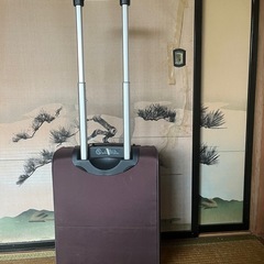 PRIVATE LABEL キャリーケース　コンパクトサイズの画像