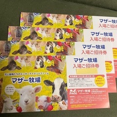 マザー牧場　招待券　無料券　2025年6月30日迄　
