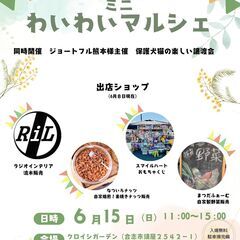 ❣️６月１５日（日）はジョートフルの楽しい譲渡会 第70回🐶🐱❣️ - その他