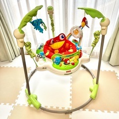 フィッシャープライス レインフォレスト　ジャンパルーの画像