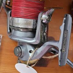 Daiwa リール