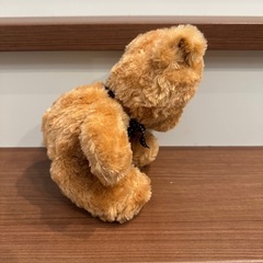 テディベアの画像